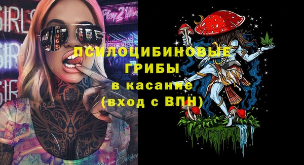 2c-b Карталы