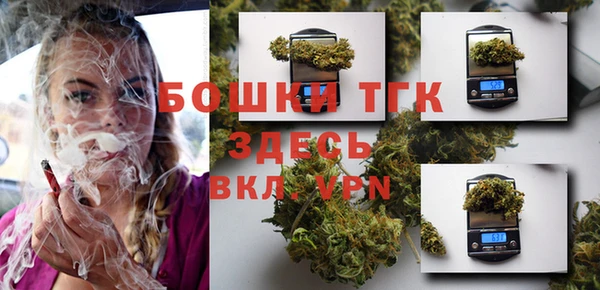 спиды Шали