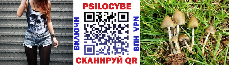 Псилоцибиновые грибы ЛСД  Купить  Сурск 